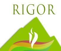 Rigor Icon