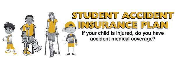 Student Insurance Hall County Schools